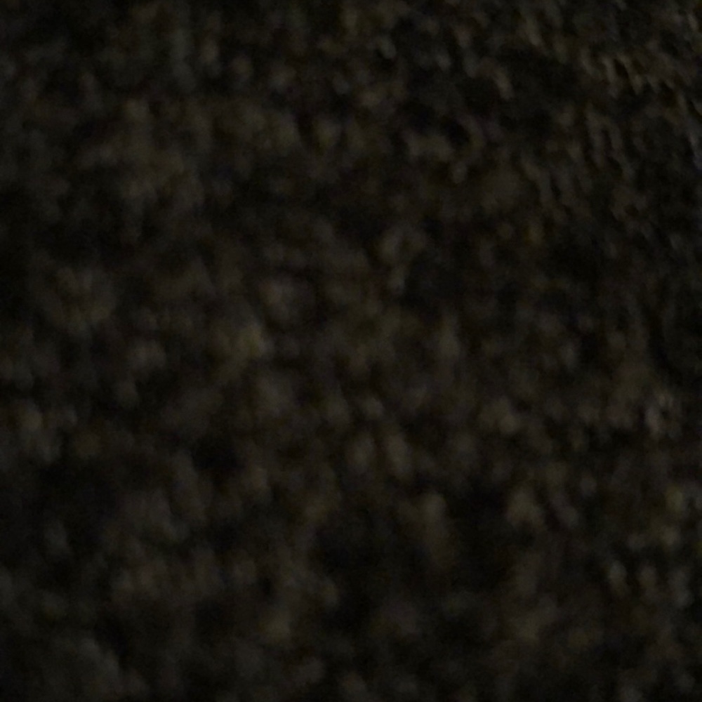 Meet your Posher, Sandy